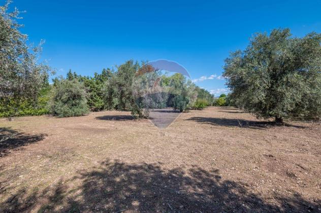 Villa singola in vendita a Comiso - Foto 17