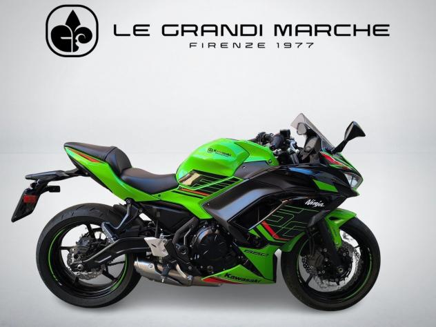 Kawasaki Ninja 650 Depotenziata