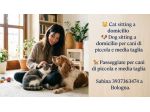 Cat Sitter Bologna