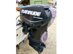 Motore marino 40 CV evinrude