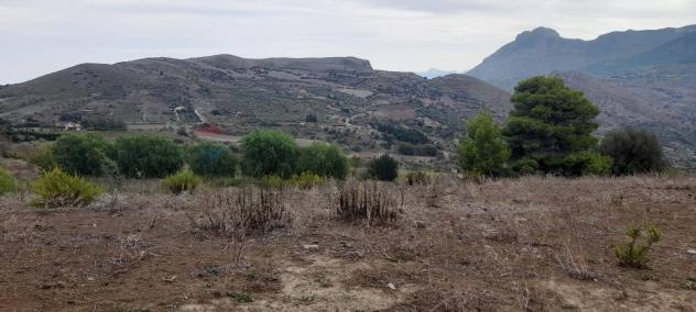 Terreno in vendita a Caccamo - Foto 14