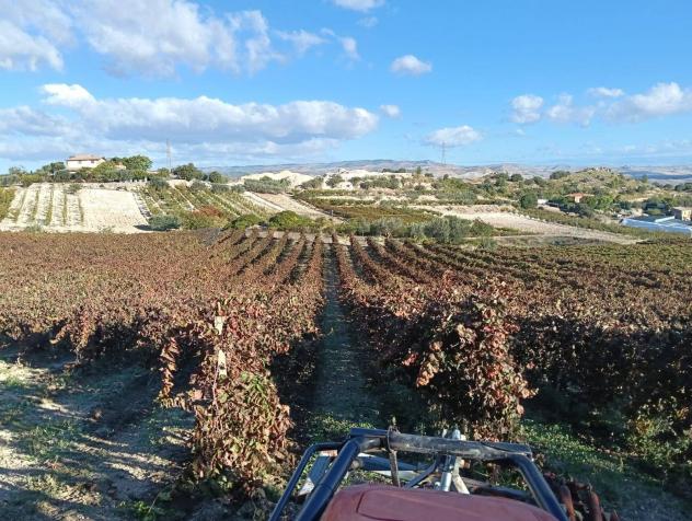 Terreno in vendita a Caltagirone - Foto 3