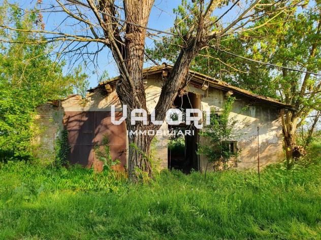 PODERE AGRICOLO DI HA 14.5 CON CASA COLONICA E SERVIZI - Foto 12