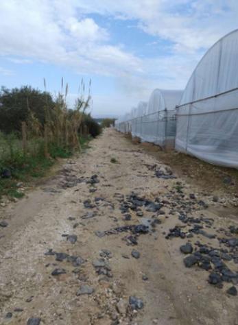 Immobile in asta di 49 m² in vendita a Noto - Foto 4