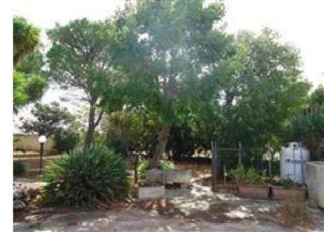Immobile in asta di 6217 m² in vendita a Torre Santa Susanna - Foto 3
