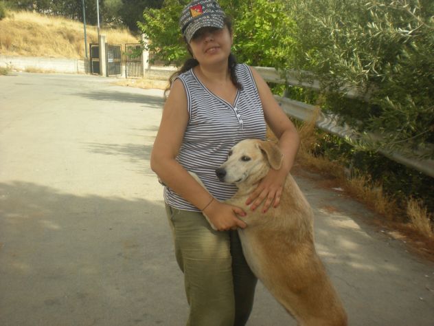COMUNE, dolce mix labrador URGENTE - Foto 6
