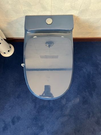 Cerco Sanitario WC Blu d' epoca mod. STILE Pozzi Ginori 1967/1970 - Foto 5