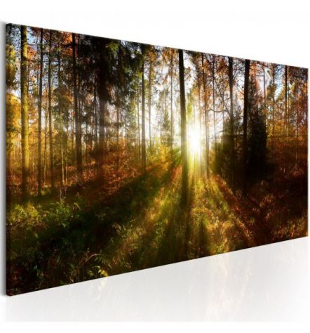 Quadro Foresta In Autunno ARREDALACASA