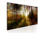 Quadro Foresta In Autunno ARREDALACASA