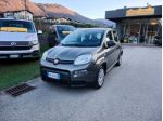 FIAT Panda 1.0 FireFly S&S Hybrid OK NEOPATENTATI-  - rif. 18853916