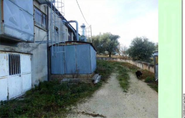 Immobile in asta di 839 m² in vendita a Mogliano - Foto 3