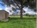 Terreno in vendita a Caltagirone, Santo Pietro