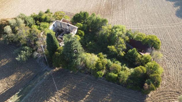 Cartoceto (pu) posizionato su un'altura che domina l'intera vallata del metauro fino alle principali spiagge di fano, non lontano dall'asse viario del - Foto 7