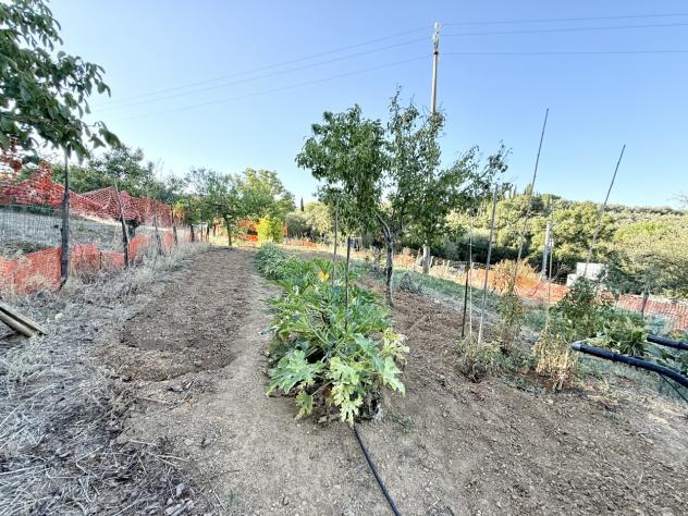 TERRENO AGRICOLO di 3 vani e di 142179 mq (GROSSETO - Istia d'Ombrone) rif. TE.41 - Foto 14