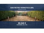 Immobile in asta di 7082 m² in vendita a San Pietro Vernotico