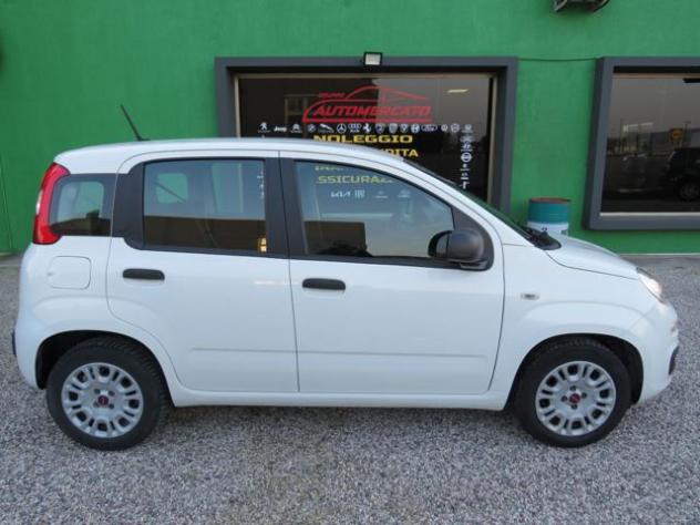FIAT Panda 1.2 Easy S&S 1200 C.C. rif. 23513160 - Foto 5