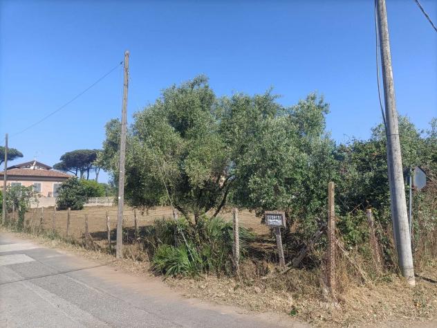 Edificabile in Via Poli - Foto 10