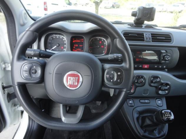 FIAT Panda 3ª serie Panda 1.0 FireFly S&S Hybrid City Life - Foto 8