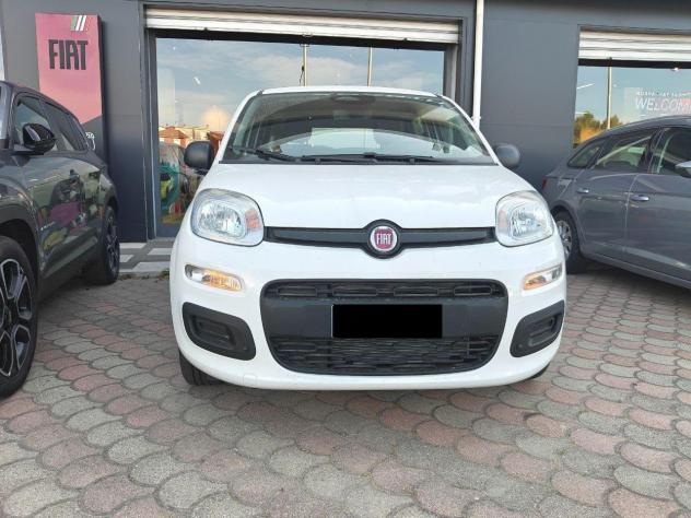 FIAT Panda 1.0 FireFly S&S Hybrid Icon - Foto 2