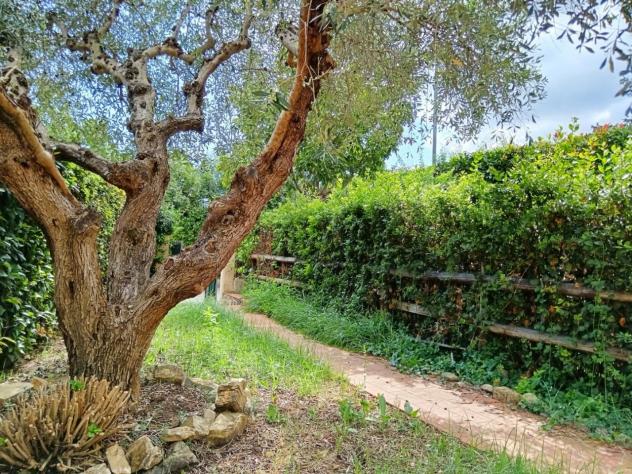 Villa a schiera in vendita a Magliano in Toscana - Foto 13