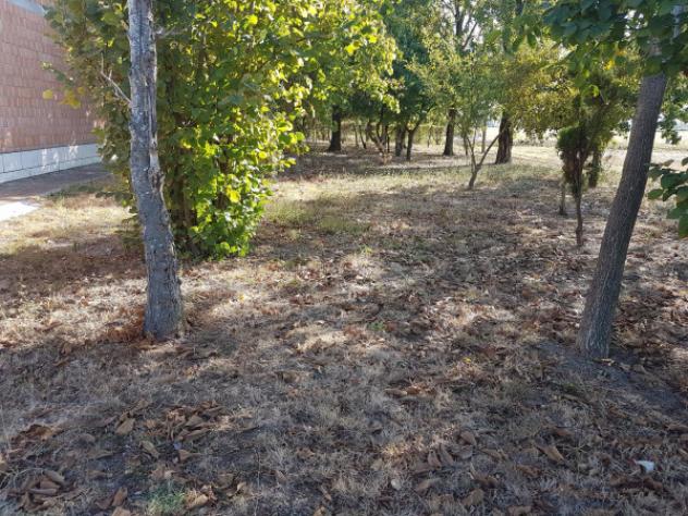 Immobile di 160 m² in vendita a Carpi - Foto 4