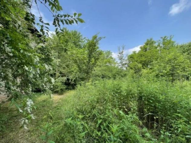 Immobile in asta di 413 m² con più di 5 locali in vendita a Correggio - Foto 2