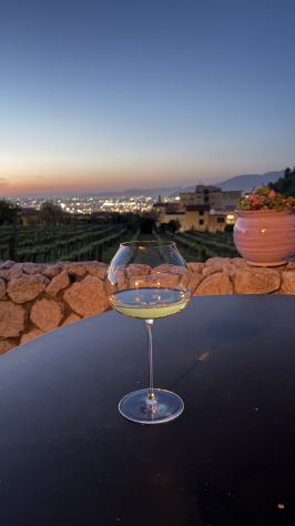 CERCHIAMO BARTENDER PER APERITIVI ED ESPERIENZE IN VIGNA - Foto 5