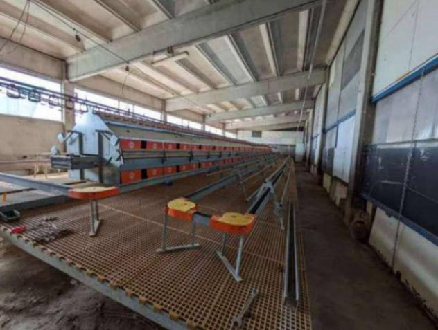 Immobile in asta di 9989 m² con più di 5 locali in vendita a Frascaro - Foto 9