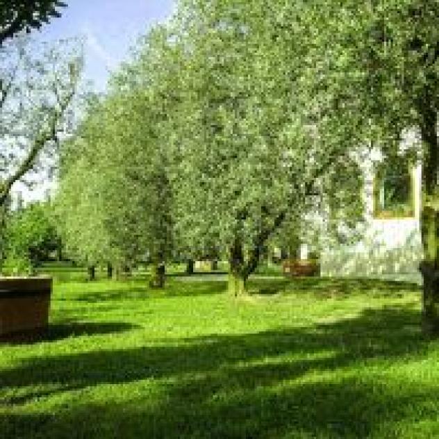 B&B Il Boschetto - Foto 3