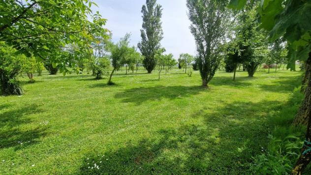 Terreno Agricolo - Rif. 2457 - Foto 14