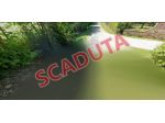 Immobile in asta di 11 m² in vendita a Sossano