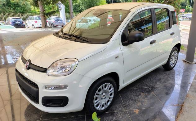 FIAT Panda 1.0 FireFly 70cv S&S Hybrid