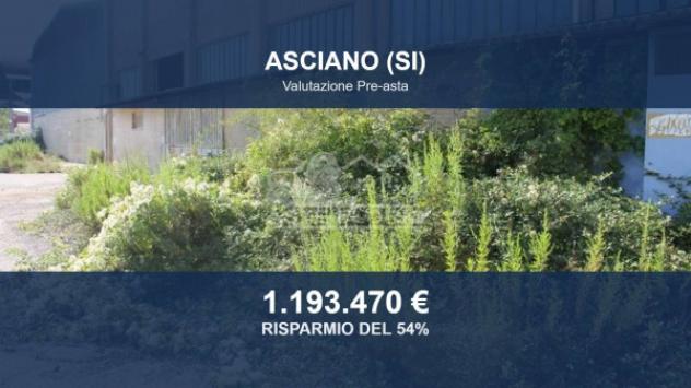 Immobile in asta di 41493 m² in vendita a Asciano