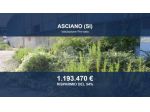 Immobile in asta di 41493 m² in vendita a Asciano
