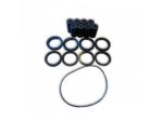 Kit riparazione per pompa ferroni mt300