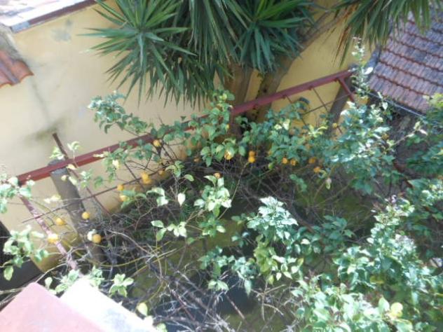 1925/CALVIRISORTA Appartamento al piano terra di mq 140 con giardino a Calvi Risorta. Si compone di salone/cucina, tre camere matrimoniali e bagno. Da - Foto 7