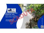 Immobile in asta di 255 m² in vendita a Castelfranco Piandisco