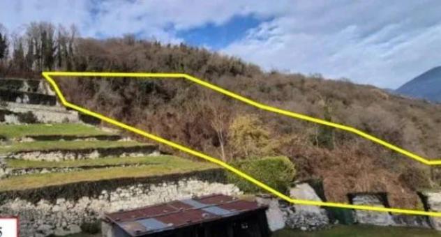 Immobile in asta di 2622 m² in vendita a Borgo Valsugana - Foto 3