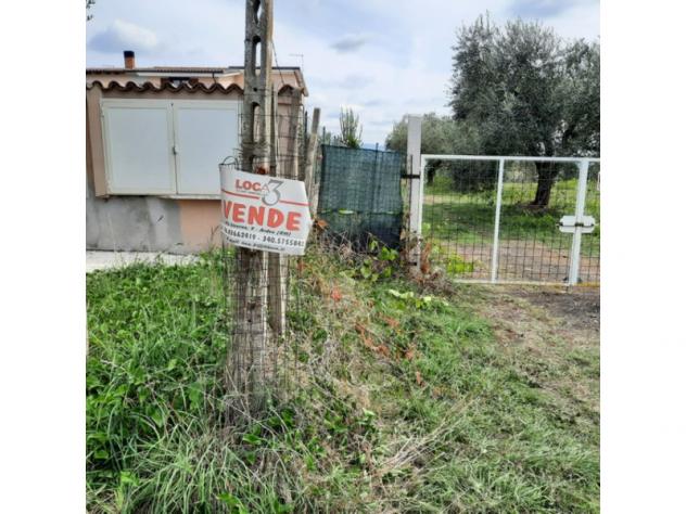 Agricolo in Secondo Stradone Muti - Foto 12