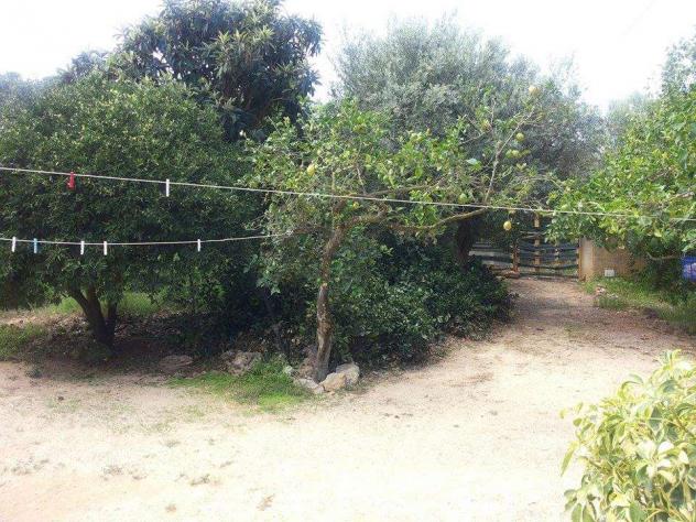 V1265 - In vendita a Marsala casa antica con terreno - Foto 6