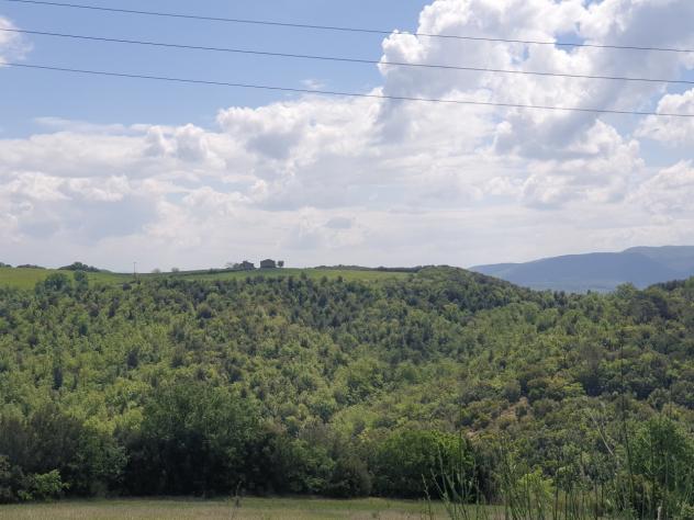 Casale in vendita a Orvieto - Foto 8