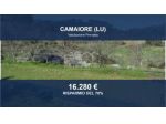 Immobile in asta di 16323 m² in vendita a Camaiore