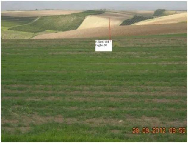 Immobile in asta di 65029 m² in vendita a Lavello - Foto 9