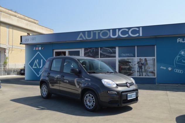 FIAT Panda 1.0 FireFly S&S Hybrid rif. 24046722 - Foto 3