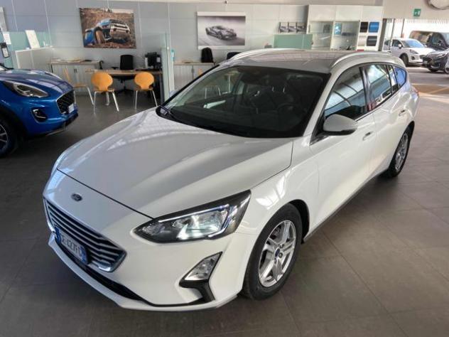 FORD Focus 1.5 EcoBlue 120 CV aut. SW Business Co-Pilot rif. 23480706