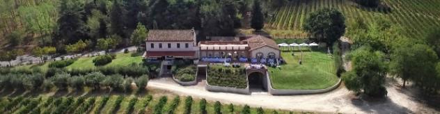 Immobile in asta in vendita a Montecarotto