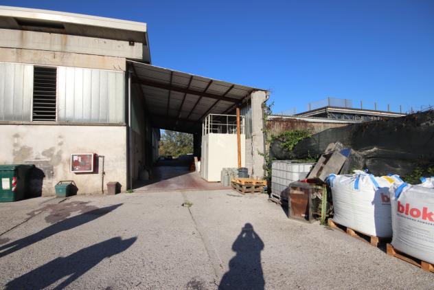 Industriale/Artigianale in vendita a Lucca - Foto 7