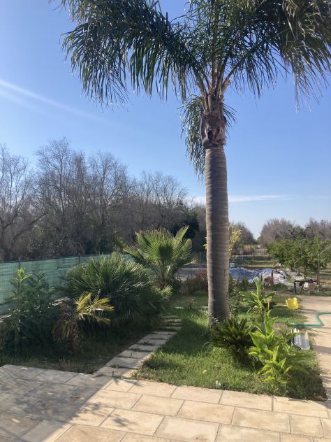 Terreno agricolo con casa - Foto 6