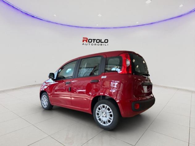 FIAT Pandina Pandina 1.0 FireFly 65 CV Hybrid Icon - Foto 7