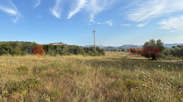 Terreno Agricolo - Tivoli . Rif.: Cod. rif 3337870VCG - Foto 5